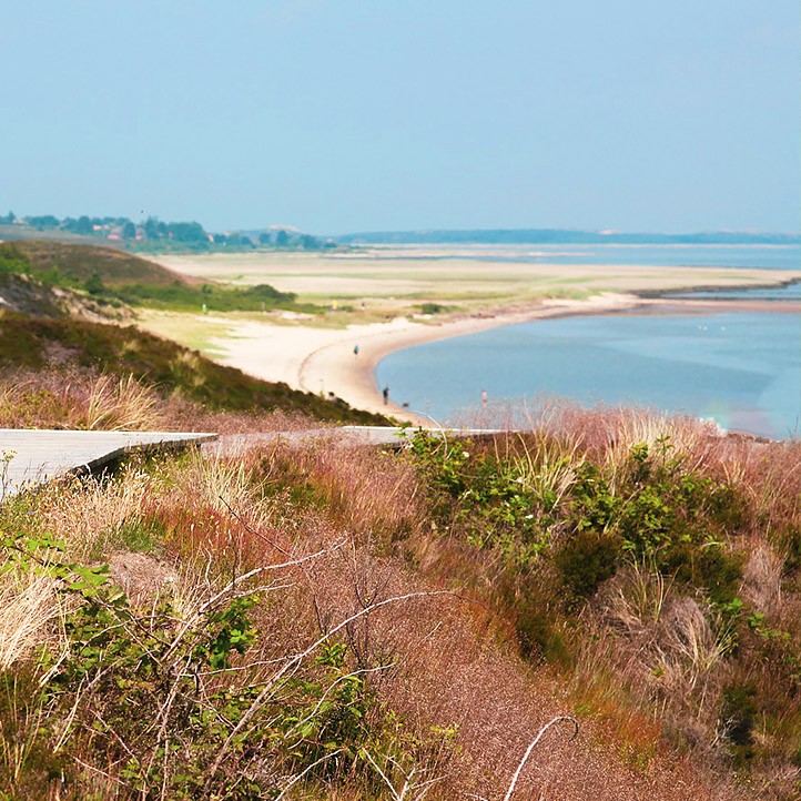 visiter plage ocean sejour hossegor hotel du parc